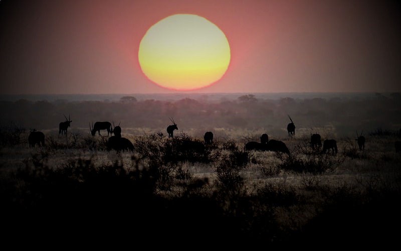 KRUGER SUNSET SAFARI